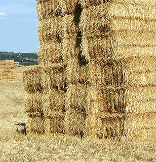 Complete Hay Supplies | 14 Industry Ct, Lilydale VIC 3140, Australia | Phone: 0427 001 803