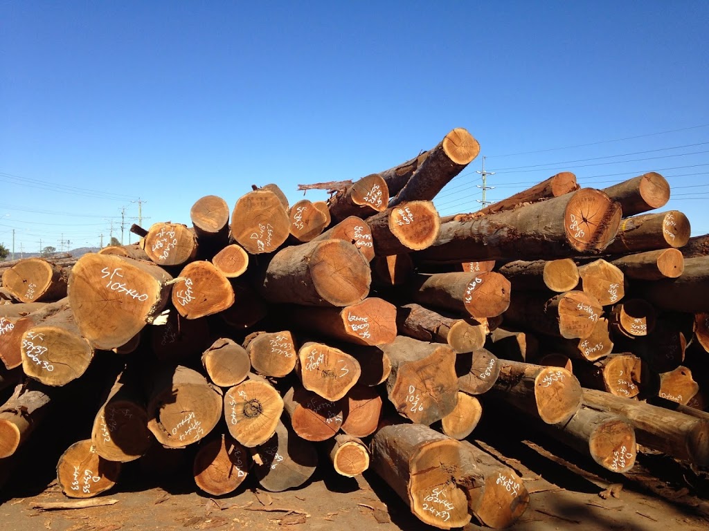 Enrights Sawmill | 144 Brisbane St, Beaudesert QLD 4285, Australia | Phone: (07) 5541 1077