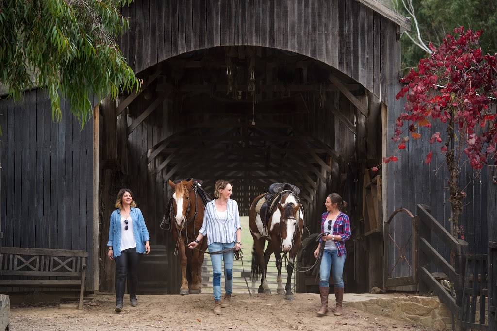 Bogong Horseback Adventures | 52 Fredas Ln, Tawonga VIC 3697, Australia | Phone: (03) 5754 4849