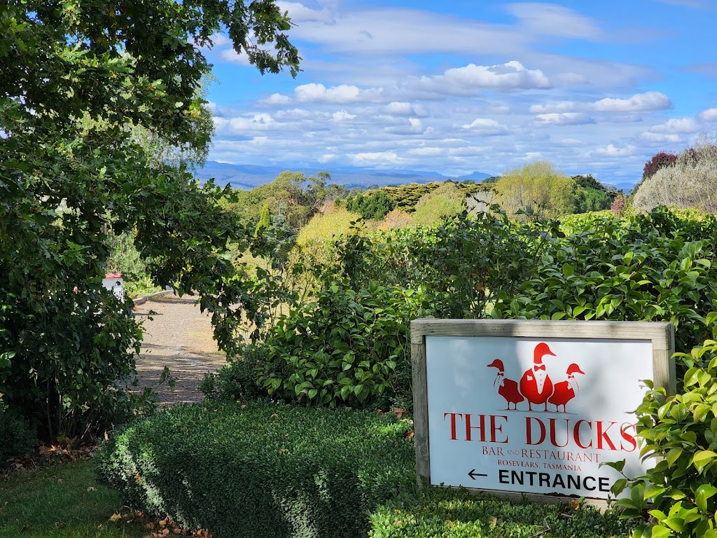The Ducks Bar and Restaurant | 95 Rosevears Dr, Rosevears TAS 7277, Australia | Phone: (03) 6330 2670