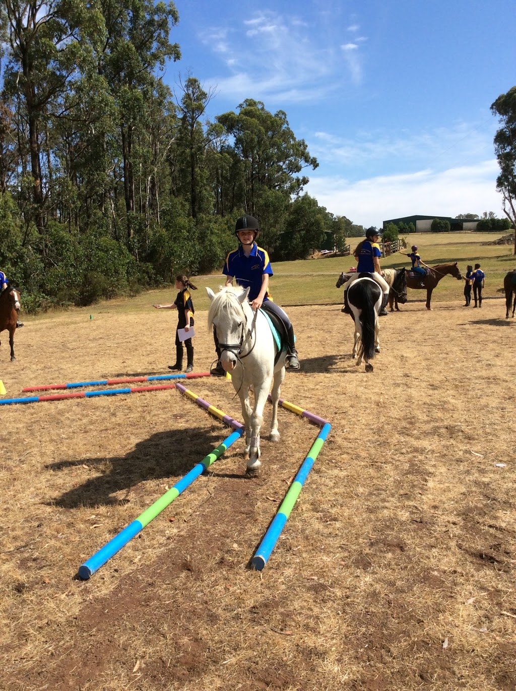 Melbourne Indoor Equestrian Centre | Macs Road, Kinglake West Melbourne VIC 3757, Australia | Phone: 0400 874 118