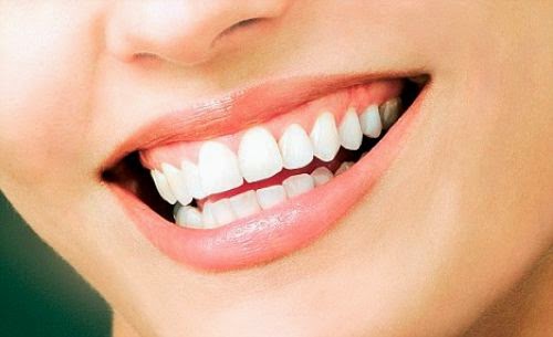 Nenis Nuriootpa Dental Centre (Barossa) | dentist | 17 Gawler St, Nuriootpa SA 5355, Australia | 0885621093 OR +61 8 8562 1093