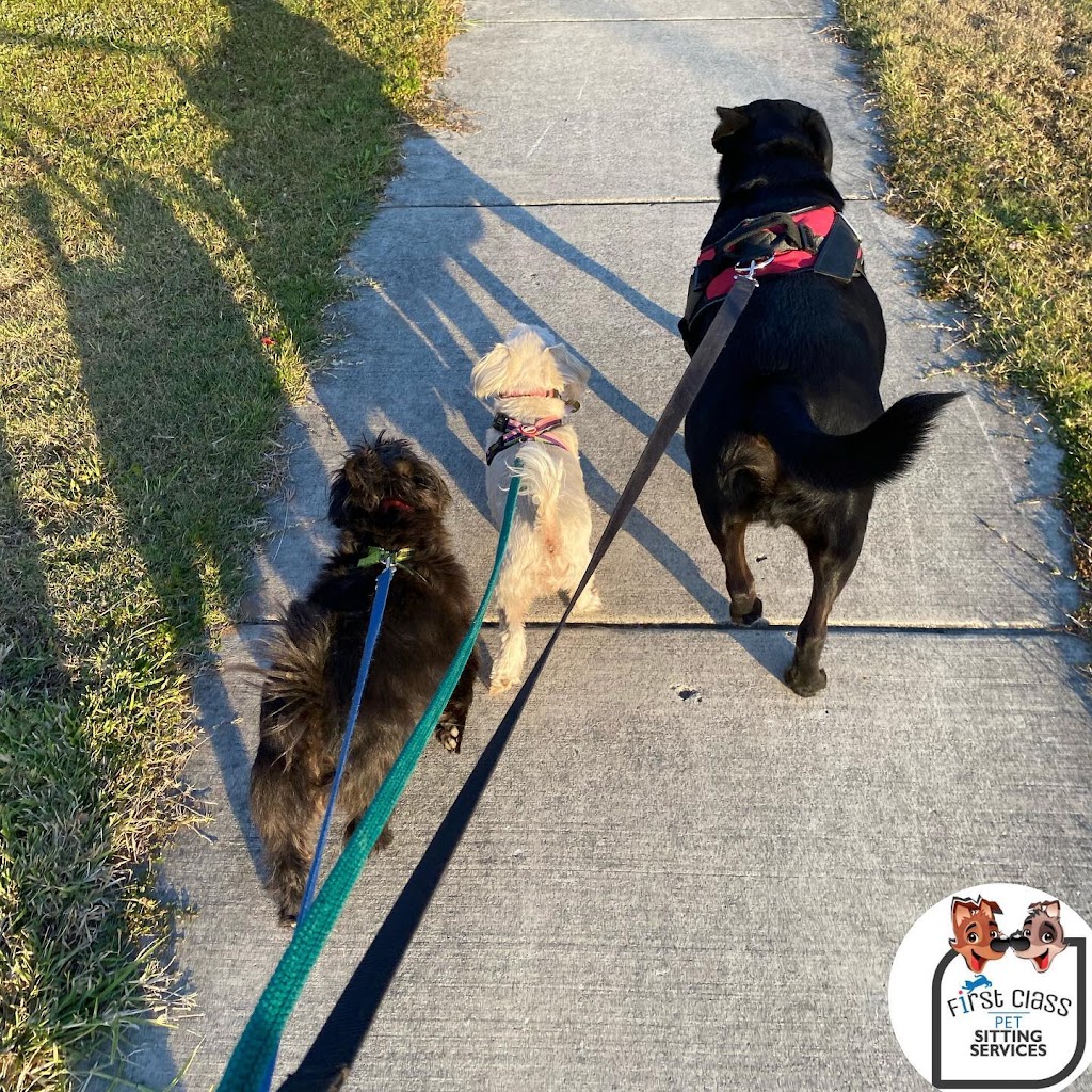 First Class Pet Services | Bushman Dr, Flagstone QLD 4280, Australia | Phone: 1800 738 748