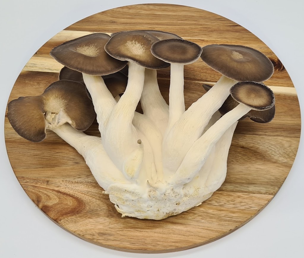 SeaChange Mushrooms | food | 96 Lower Hermitage Rd, Lower Hermitage SA 5131, Australia | 0412561165 OR +61 412 561 165