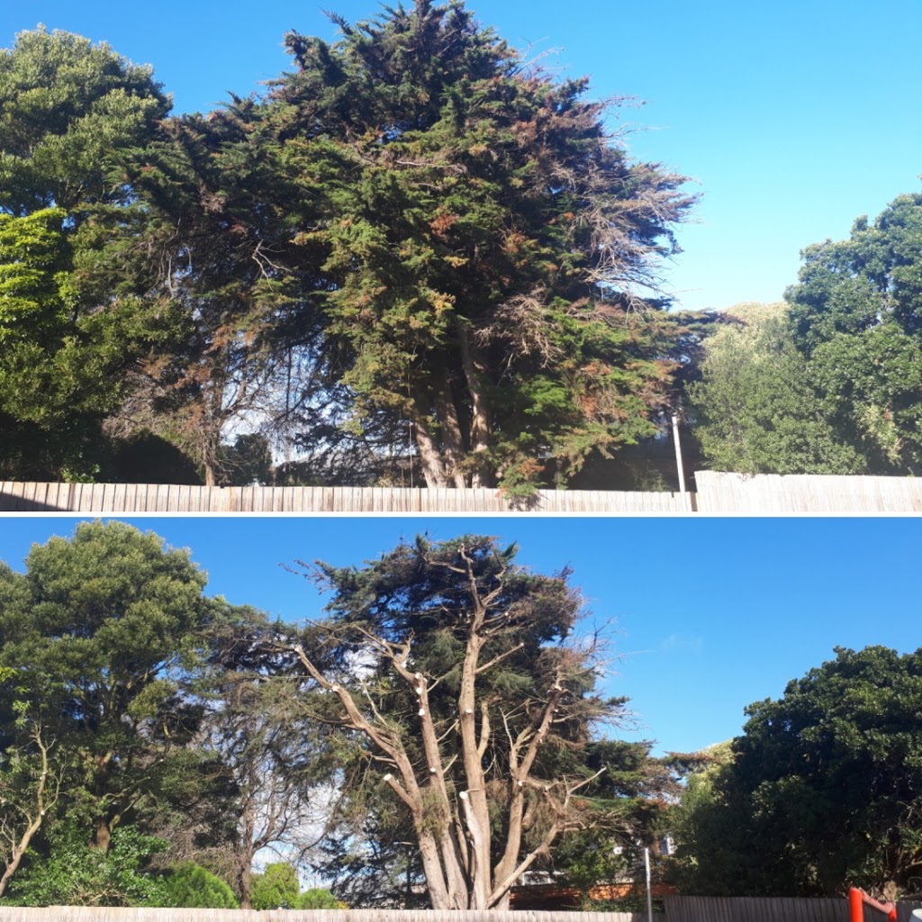 Gippsland Arboriculture Specialists | 45 Whitelaw Ct, Rawson VIC 3825, Australia | Phone: 0403 080 315