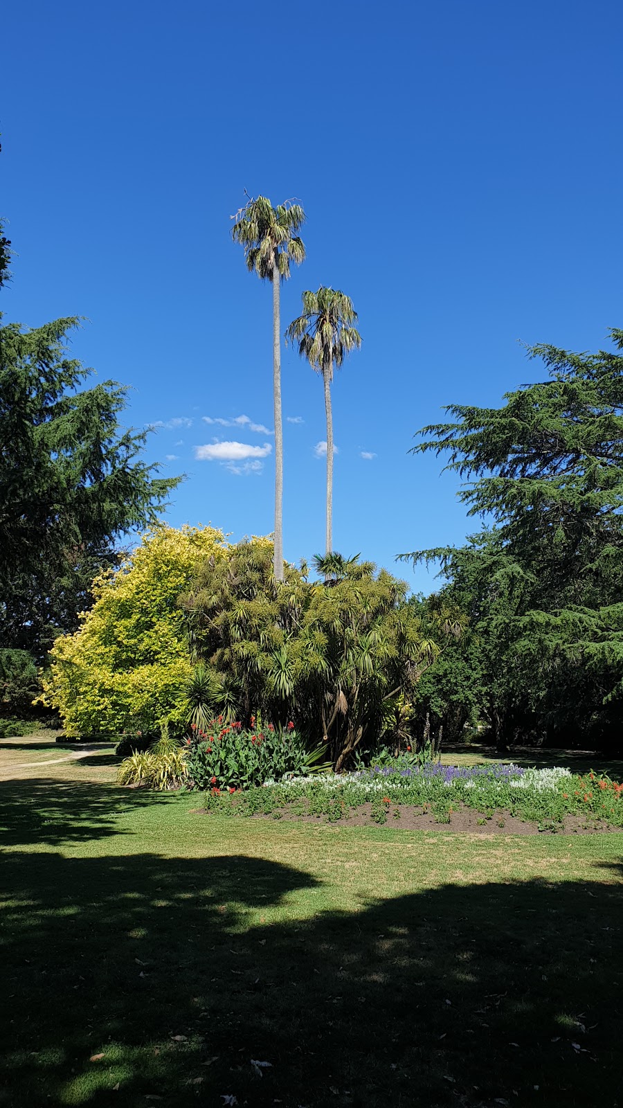 Colac Botanic Gardens, Colac VIC 3250 | park | cnr Fyans and Gellibrand streets, Colac VIC 3250, Australia | 0352329400 OR +61 3 5232 9400