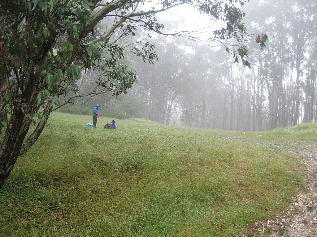 Rumpff Saddle | Barkly River Jeep Track, Mount Buller VIC 3723, Australia