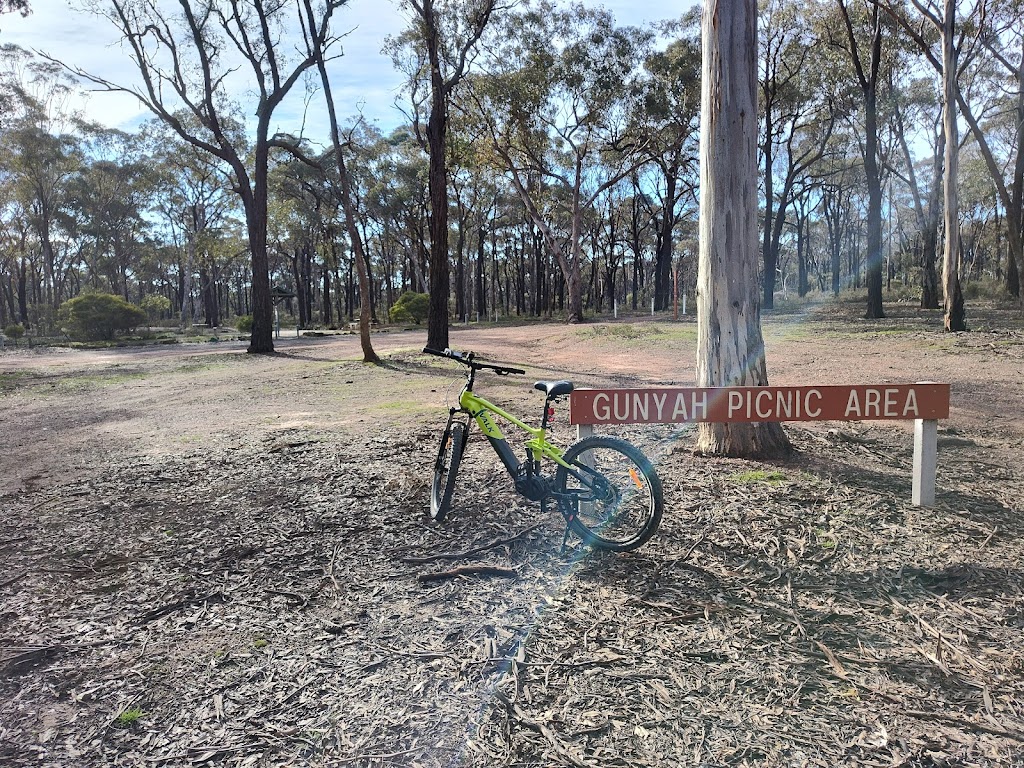 Gunyah Picnic area | Plant Road &, Gunyah Track, Longlea VIC 3551, Australia | Phone: 13 19 63