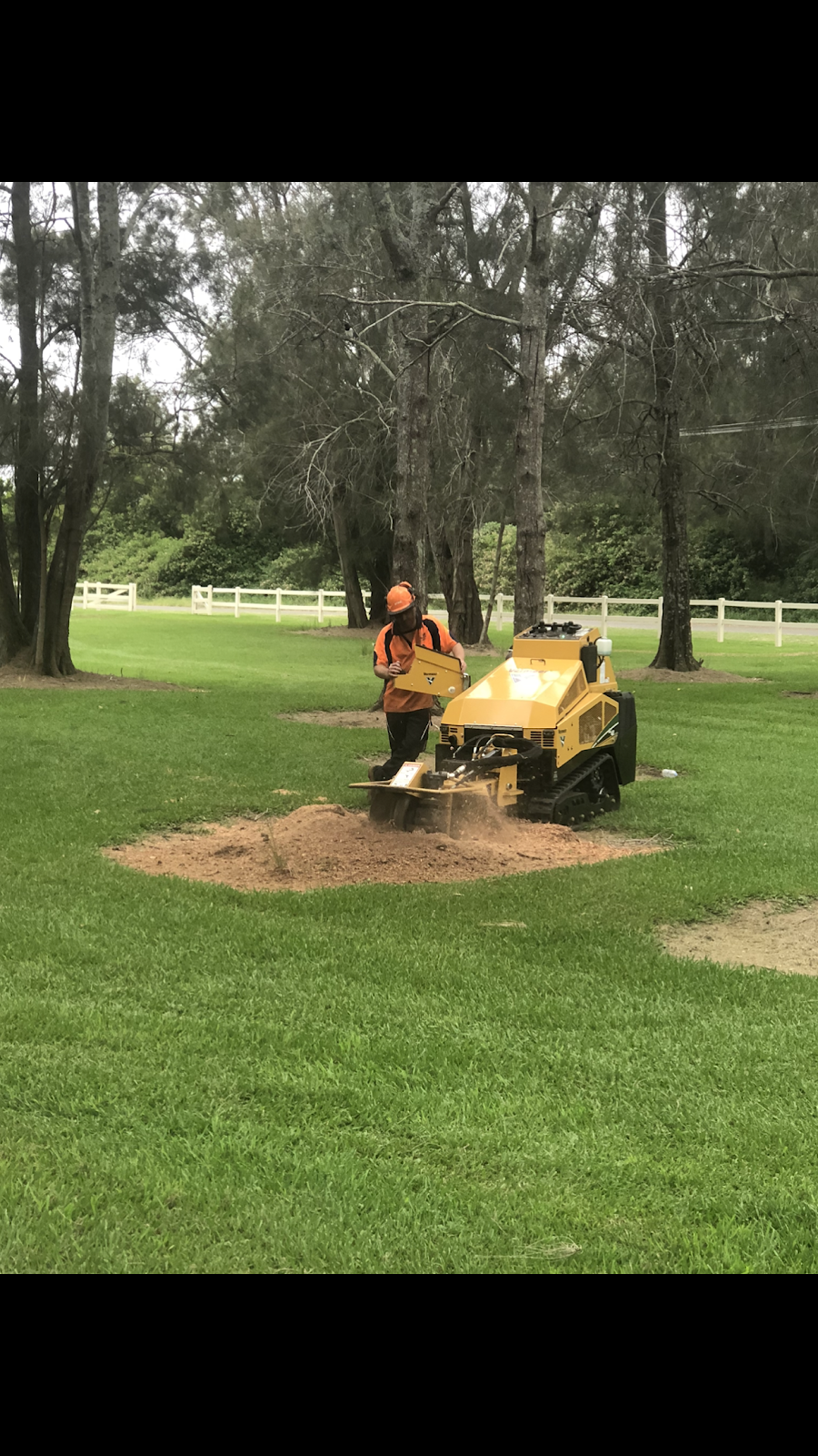 Beaus Tree Service | 9 Ginkers Way, Cooranbong NSW 2265, Australia | Phone: 0487 238 994