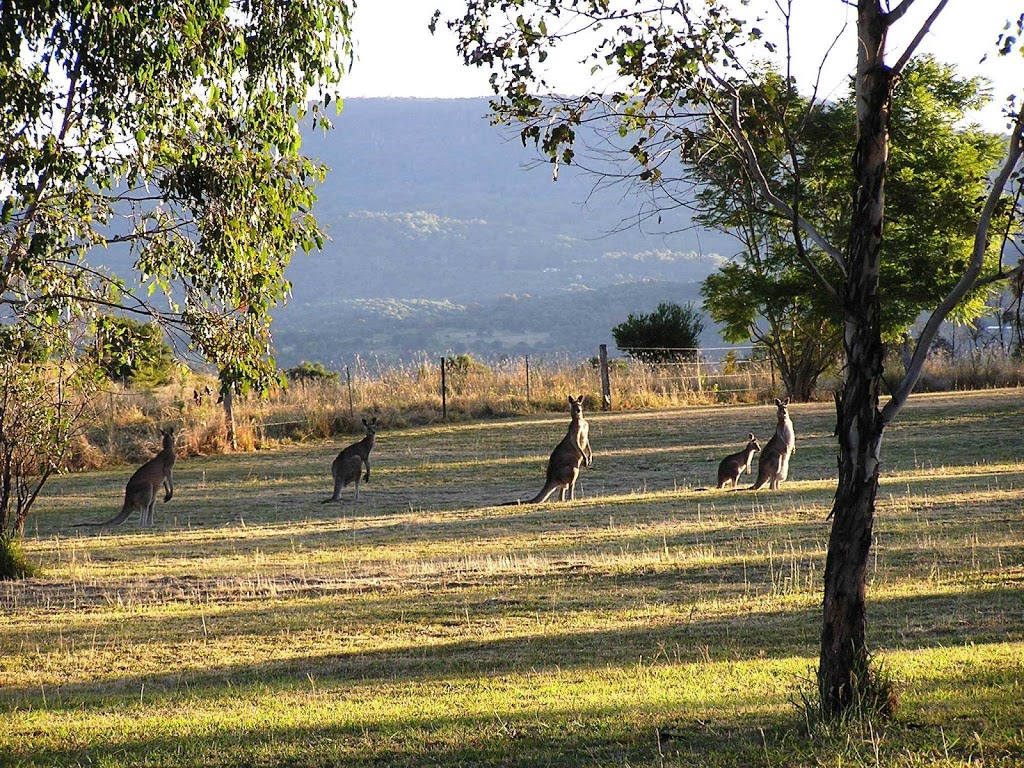 Border Vista Estate | general contractor | Flame Tree ct, Via Hoya Rd, Boonah QLD 4310, Australia | 0754182333 OR +61 7 5418 2333