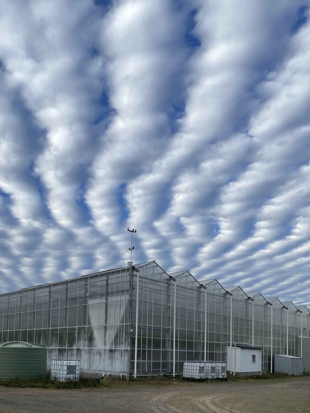 Allegro Farm | 12 Archer Rd, Spring Creek QLD 4343, Australia | Phone: 0403 245 522