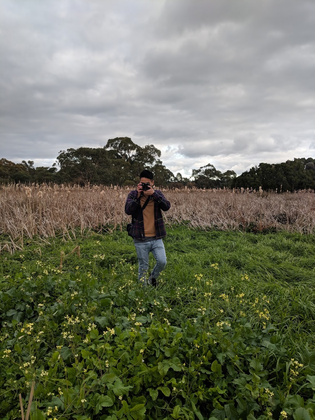 Bushy Park Wetlands | park | 880A Highbury Rd, Glen Waverley VIC 3150, Australia | 131963 OR +61 131963