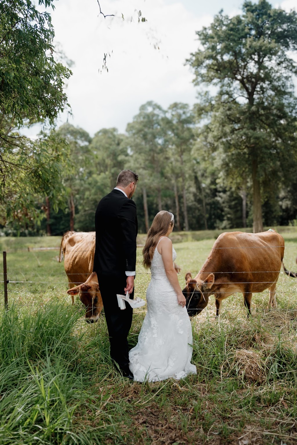 The Barn Stormhill | 55 Nolan Rd, Oakdale NSW 2570, Australia | Phone: 0438 809 332