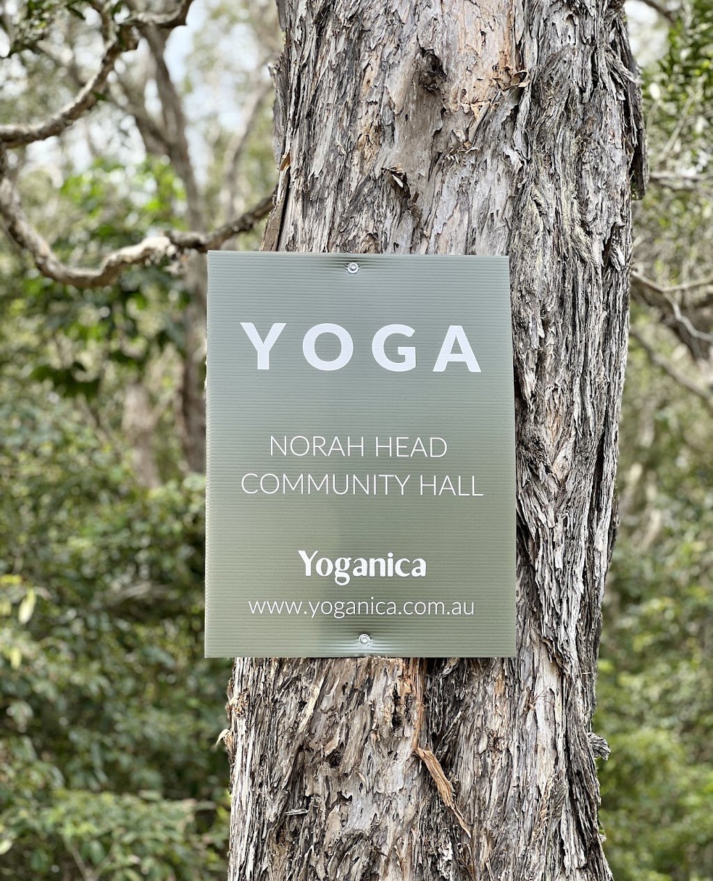 Yoganica | PH98+V9P, Norah Head NSW 2263, Australia | Phone: 0414 743 760