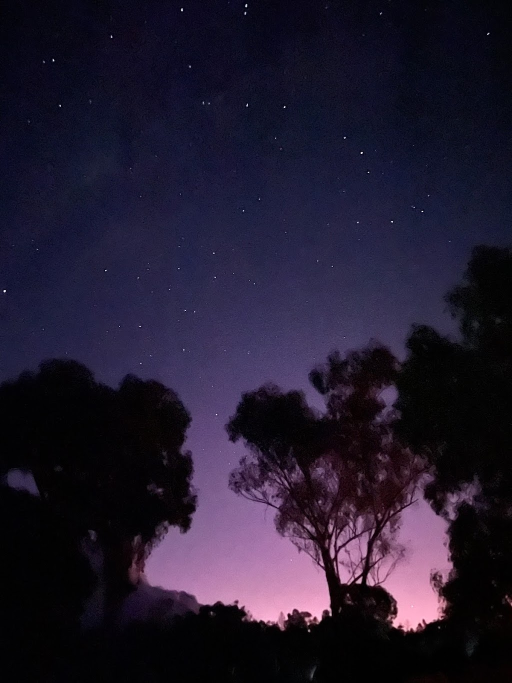 Coonabarabran Stargazing | tourist attraction | Newell Hwy, Coonabarabran NSW 2357, Australia | 0488687562 OR +61 488 687 562
