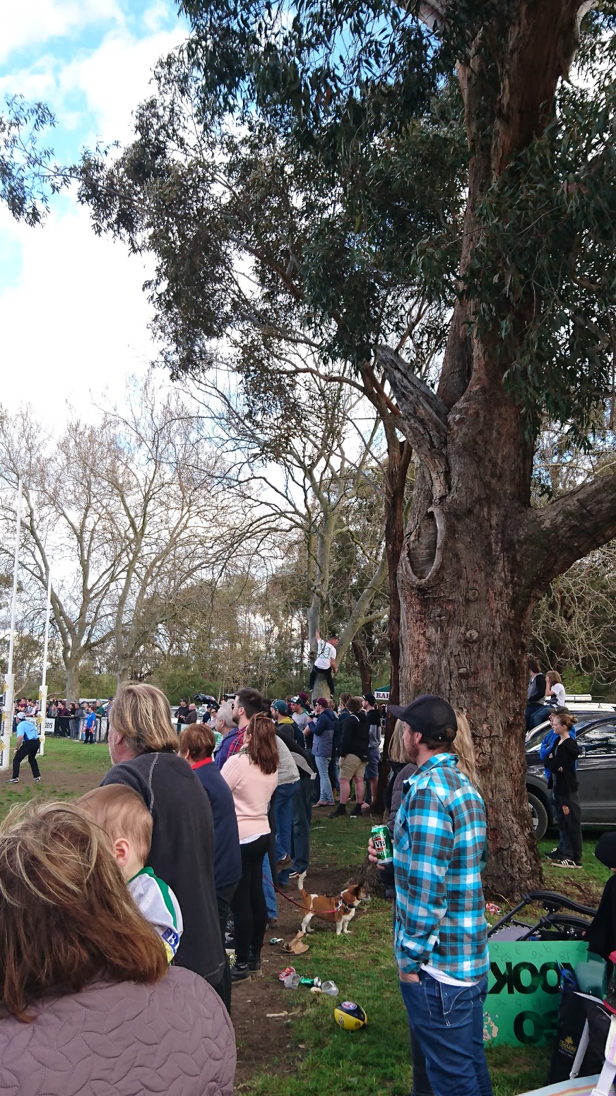 Yarra Glen Recreation Reserve and Showground | Yarra Glen VIC 3775, Australia