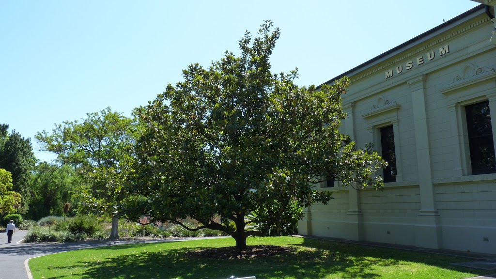 Santos Museum of Economic Botany | museum | Adelaide Botanic Garden, North Terrace, Adelaide SA 5000, Australia | 0882229311 OR +61 8 8222 9311