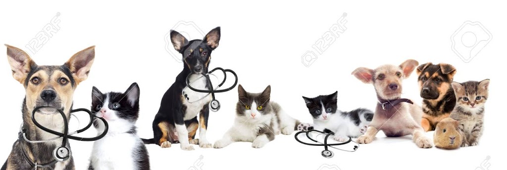 Wollondilly Animal Hospital | veterinary care | 356 Argyle St, Picton NSW 2571, Australia | 0246770188 OR +61 2 4677 0188