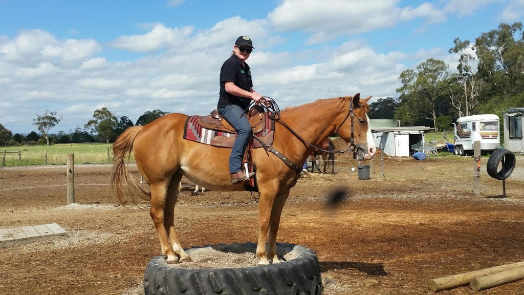 MFC Equine Horse & Rider Coaching | 3780 S Gippsland Hwy, Koo Wee Rup VIC 3810, Australia | Phone: 0477 411 104