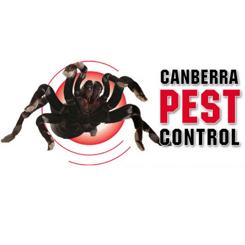 Canberra Pest Control | home goods store | 1/189 Flemington Rd, Mitchell ACT 2911, Australia | 0262427779 OR +61 2 6242 7779