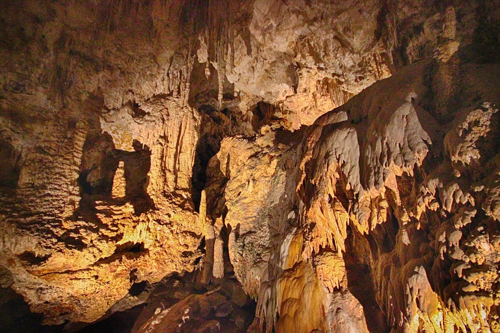 Mammoth Cave | tourist attraction | Caves Rd, Forest Grove WA 6286, Australia | 0897577411 OR +61 8 9757 7411