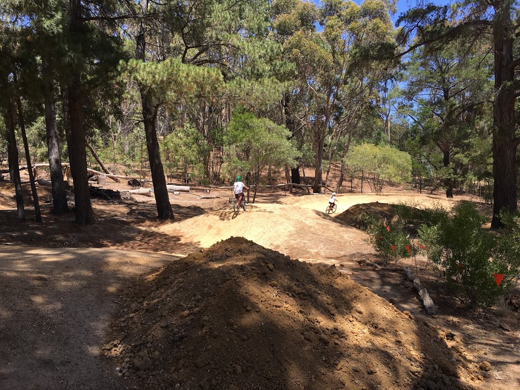 Anglesea Bike Park | 80 Camp Rd, Anglesea VIC 3230, Australia | Phone: (03) 5263 3251