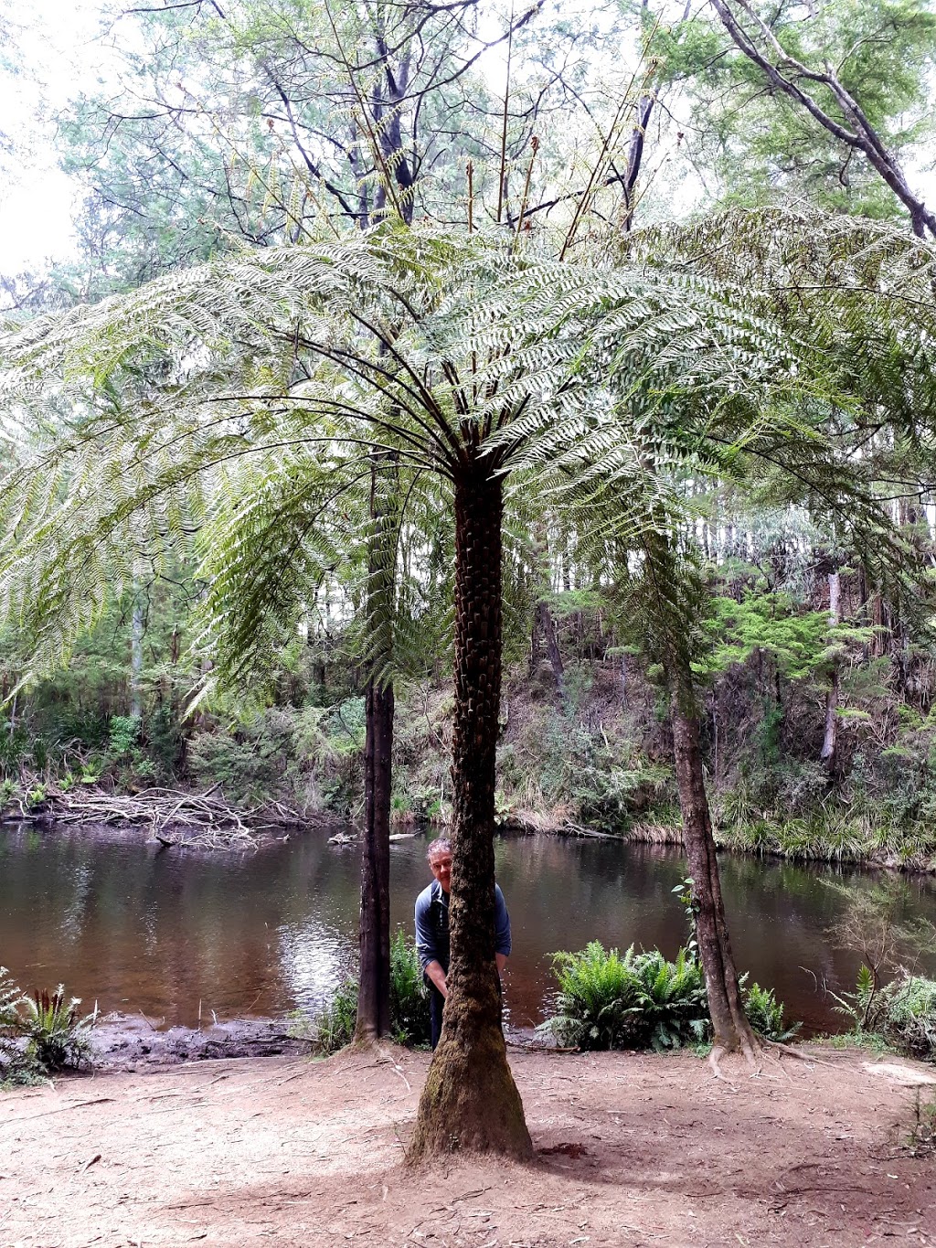 OShannassy Aqueduct Trail | Rd 18, Warburton VIC 3799, Australia | Phone: 13 19 63