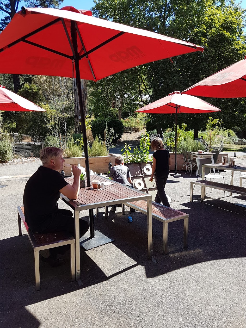 Hepburn Pavillion Cafe | cafe | Mineral Springs Reserve Rd, Hepburn Springs VIC 3461, Australia | 0353481900 OR +61 3 5348 1900