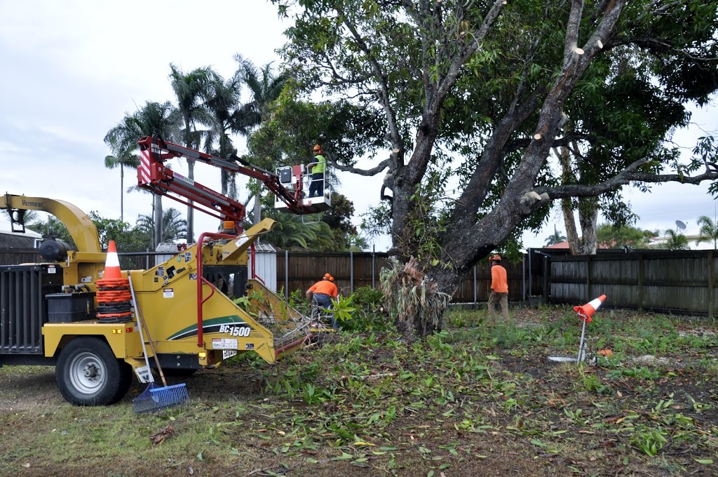 ADVANCED TREE CARE MACKAY PTY LTD | 4 Blue Gum Dr, Glenella QLD 4740, Australia | Phone: (07) 4942 8444