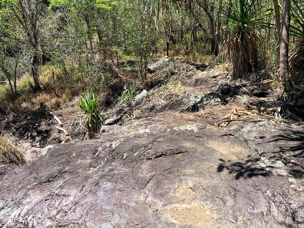 Conway Conservation Park | park | Mount Rooper QLD 4802, Australia | 0481820444 OR +61 481 820 444