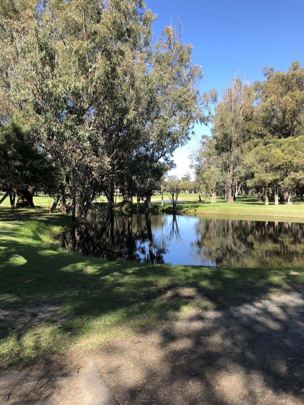 Pinjarra Golf Club | Pinjarra Rd &, Sutton St, Pinjarra WA 6208, Australia | Phone: (08) 9531 1252