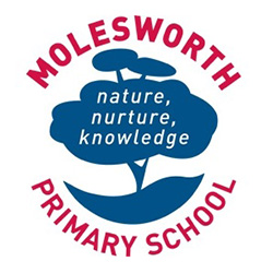 Molesworth Primary School | school | 540 Molesworth Rd, Molesworth TAS 7140, Australia | 0362612091 OR +61 3 6261 2091
