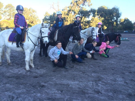 Tranquil Park Stables | 168 Browns Rd, Cranbourne South VIC 3977, Australia | Phone: 0418 170 984