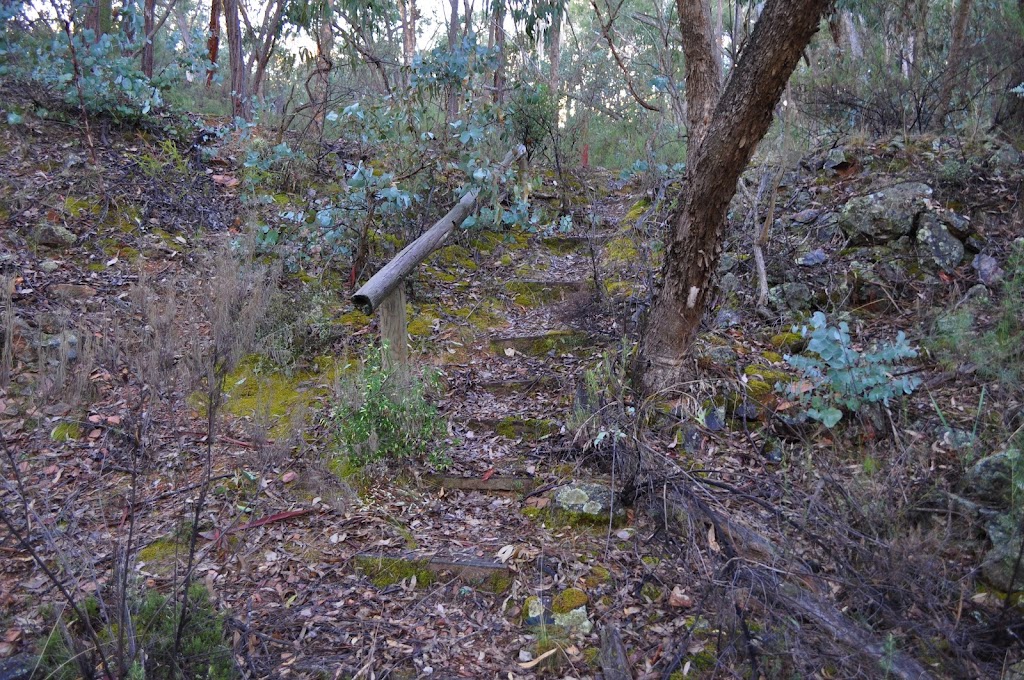 Mount Gray Walking Track | park | Bald Ridge Rd, Abercrombie River NSW 2795, Australia | 1300072757 OR +61 1300 072 757