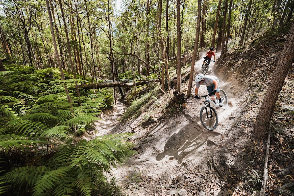 Set In Stone Media | 40 Regal Dr, Canungra QLD 4275, Australia | Phone: 0449 228 192