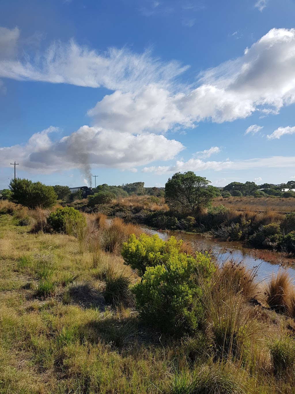 Lonsdale Tomato Farm | 49 Yarram Creek Ln, Point Lonsdale VIC 3225, Australia | Phone: (03) 5258 2665