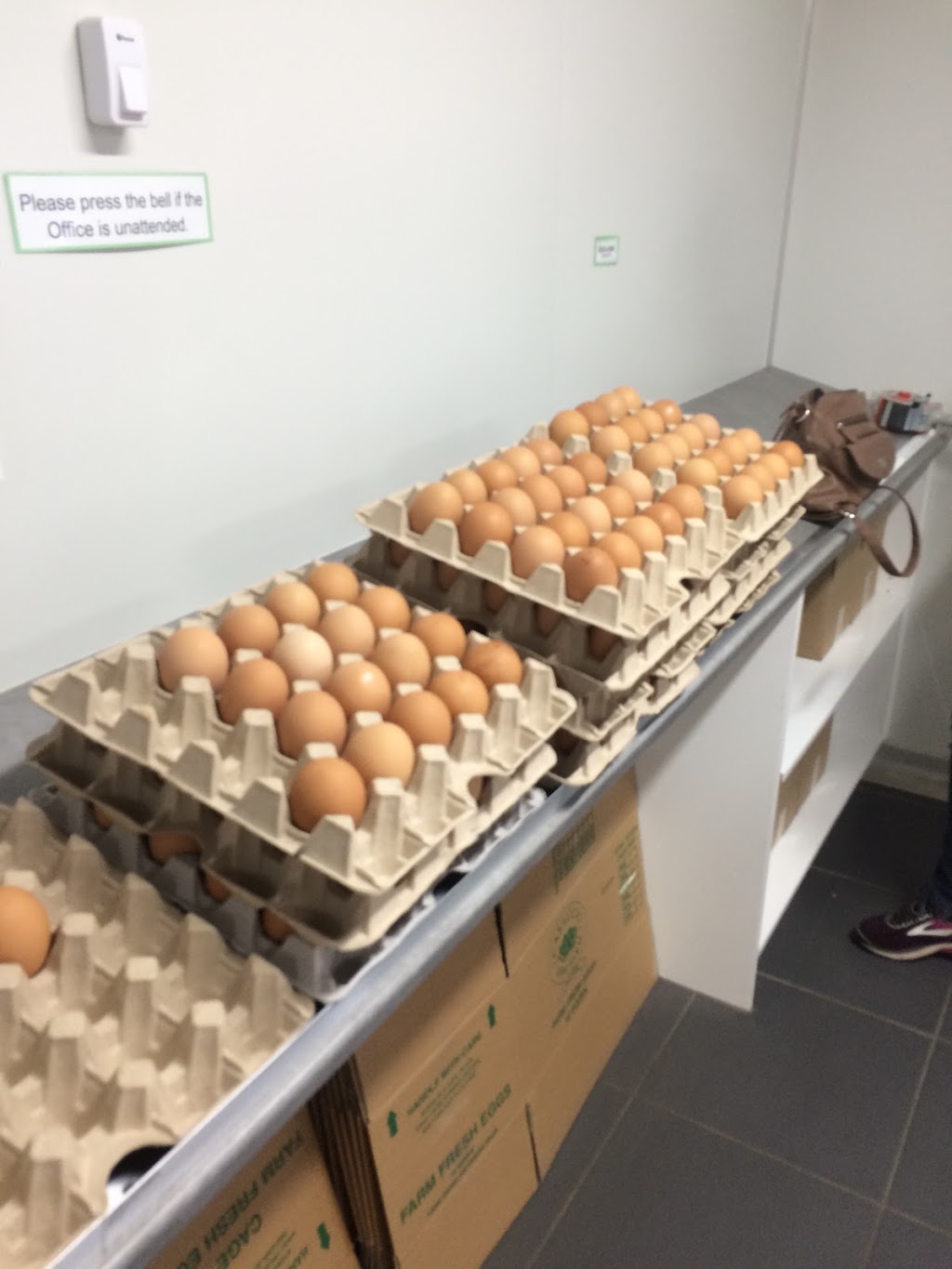 Casaccio Egg Farm in Terang |  | 80 Keilambete Rd, Terang VIC 3264, Australia | 0355921076 OR +61 3 5592 1076