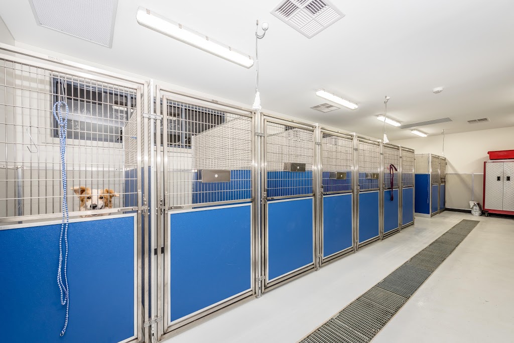 Sanford Veterinary Clinic | pet store | 163 N W Coastal Hwy, Wonthella WA 6530, Australia | 0899211797 OR +61 8 9921 1797