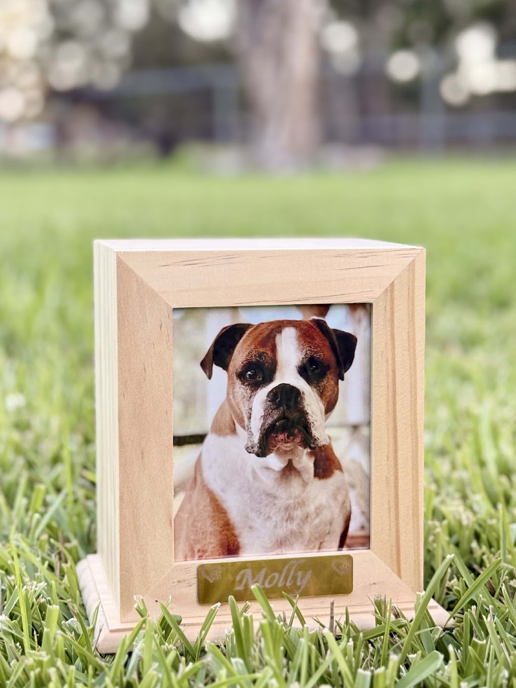 Remember Me Pet Cremations | 5/38 Alta Rd, Caboolture QLD 4510, Australia | Phone: 1300 767 387