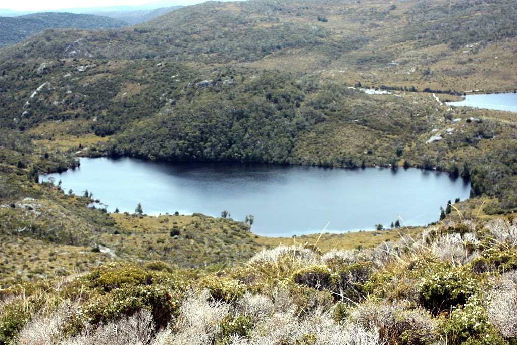 Cradle Mountain Huts Walk | 1145 Westwood Rd, Hagley TAS 7292, Australia | Phone: (03) 6392 2211