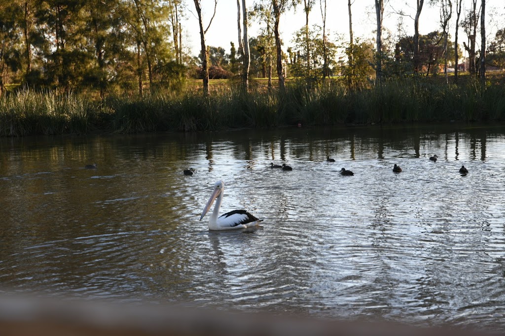 Egret park | park | Wheelers Ln, Dubbo NSW 2830, Australia