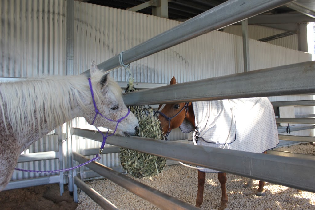 Highway Stables Port Macquarie | lodging | 733 Fernbank Creek Rd, Port Macquarie NSW 2444, Australia | 0429844611 OR +61 429 844 611