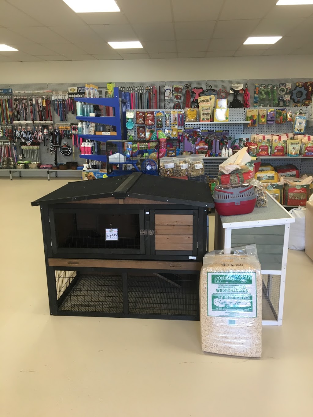 Pet Cafe Redcliffe | store | 1/236 Anzac Ave, Redcliffe QLD 4020, Australia | 0732833283 OR +61 7 3283 3283