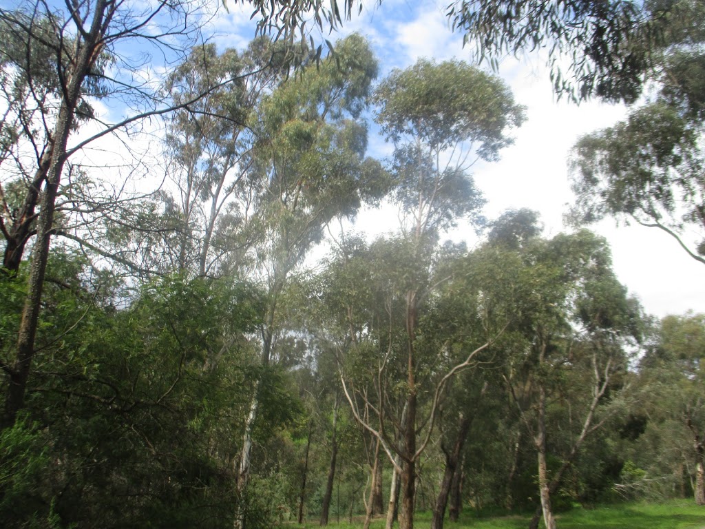 The Rotunda Wetland | Clifton Hill VIC 3068, Australia | Phone: (03) 9380 8199