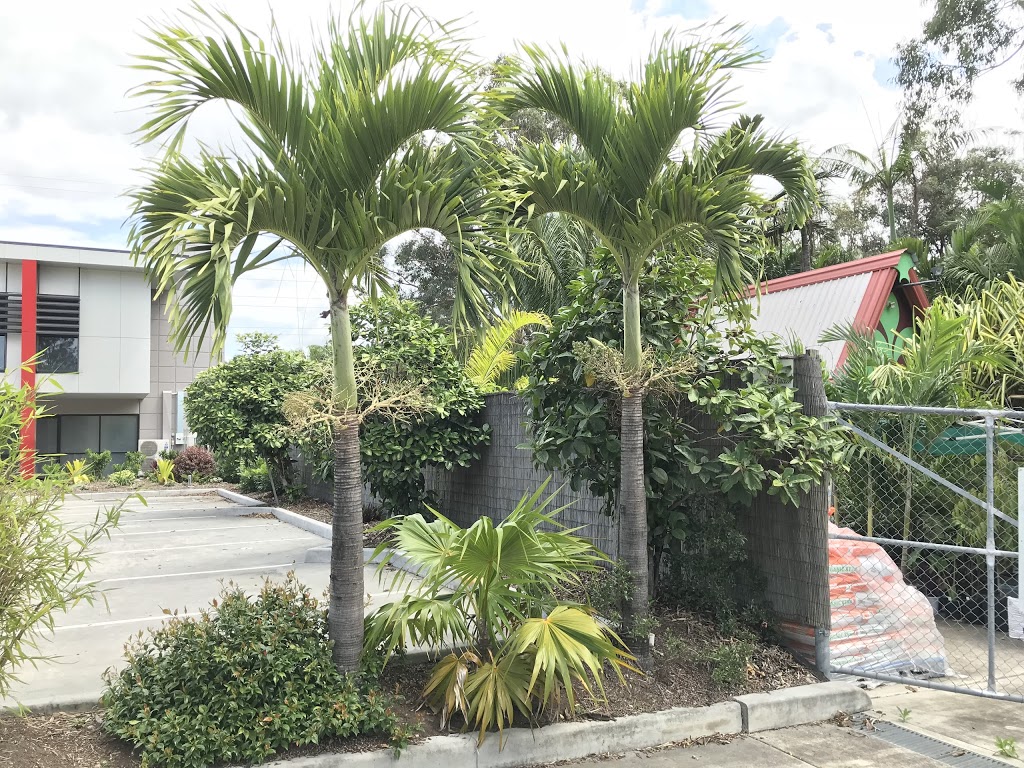 Palms for Brisbane | park | 451 Lytton Rd, Morningside QLD 4170, Australia | 0738998925 OR +61 7 3899 8925