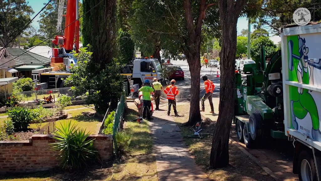 Thompson Kia | 340 Midland Hwy, Shepparton VIC 3630, Australia | Phone: (03) 5822 2666