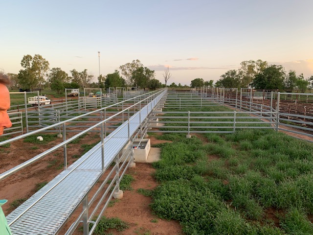 Rolleston Livestock and Grain Pty Ltd |  | Rolleston Dip Rd, Rolleston QLD 4702, Australia | 0488333887 OR +61 488 333 887