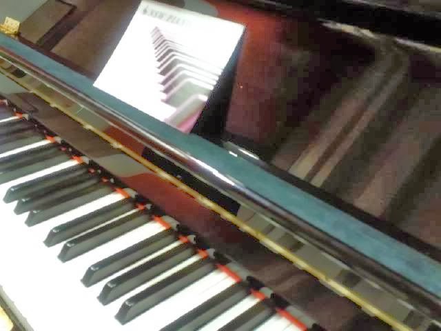 NSW Piano Tuition | electronics store | 282 New South Head Rd, Sydney NSW 2028, Australia | 0404980186 OR +61 404 980 186