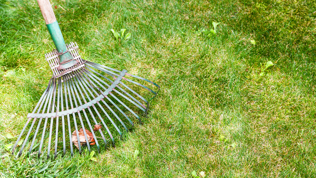 Grampians Gardening and Window Cleaning Services | 27 Lennox Rd, Pomonal VIC 3381, Australia | Phone: 0403 883 620