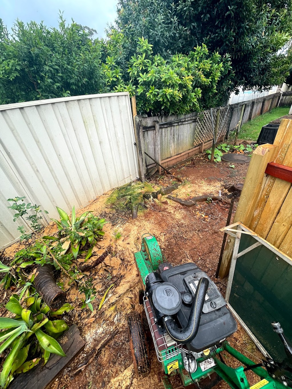 Seascape Vegetation Tree Services | 4 Coorella Cct, Port Macquarie NSW 2444, Australia | Phone: 0413 210 483